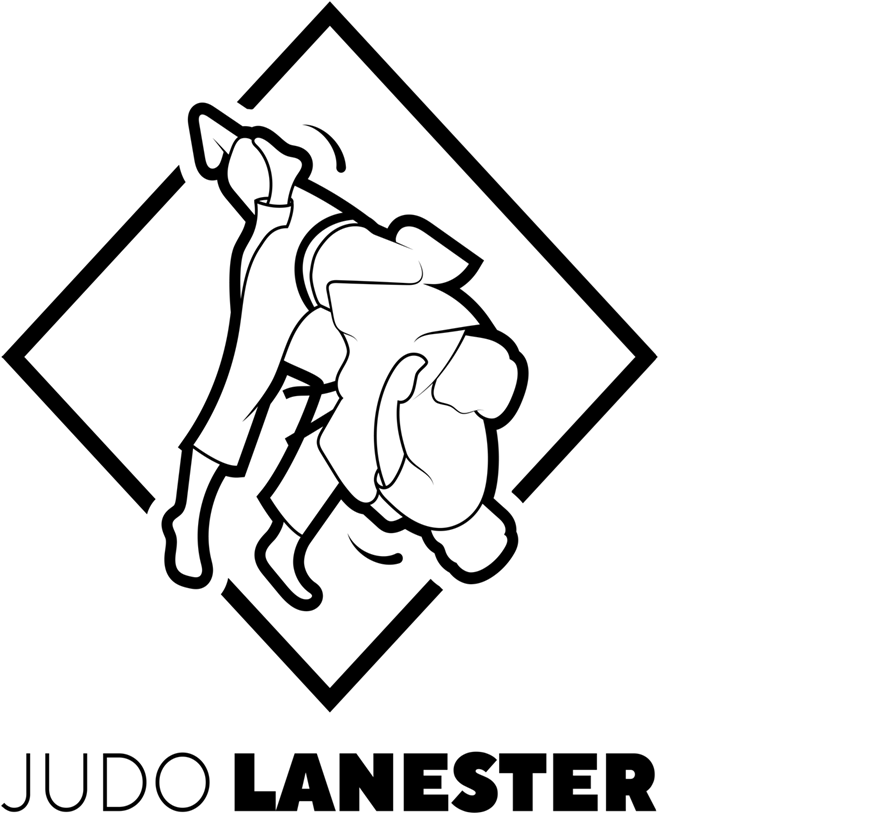 Logo FOYER LAIQUE LANESTER